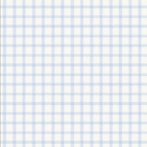 Classic Sky Blue Twill Checks Shirt